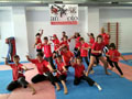 Escuela de Verano Ninja 2018