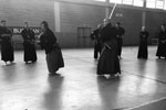 Wadokan. Seminario Internacional de Tenshin Ryu 