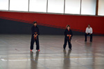 Wadokan. LIGAS DE KARATE MODERNO DE BIZKAIA EPKA. Kumite adultos y formas Infantiles